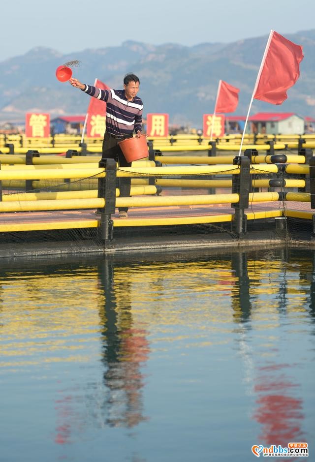 福建宁德：海上综合整治显成效-2.jpg