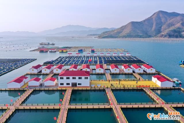 福建宁德：海上综合整治显成效-3.jpg
