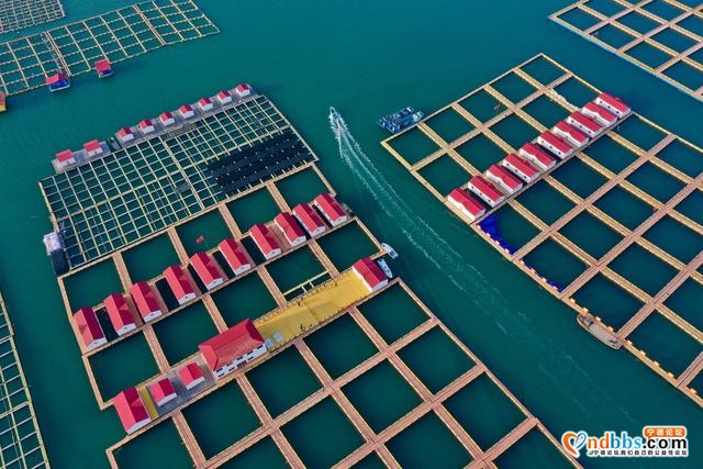 福建宁德：海上综合整治显成效-5.jpg