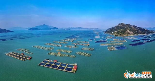 在宁德，我们找到心中的那片海-3.jpg