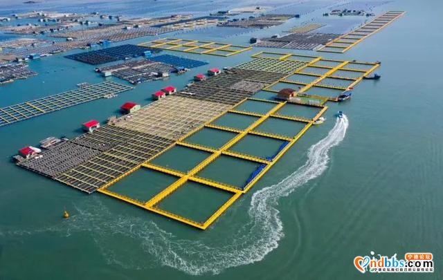 在宁德，我们找到心中的那片海-8.jpg