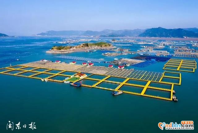 在宁德，我们找到心中的那片海-7.jpg