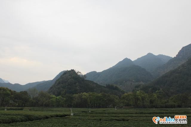 宁德蕉城霍童溪东北面外表村，两溪在这里交汇，溪沿岸青山绿水-1.jpg