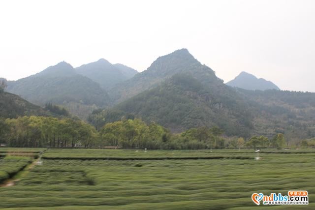 宁德蕉城霍童溪东北面外表村，两溪在这里交汇，溪沿岸青山绿水-3.jpg