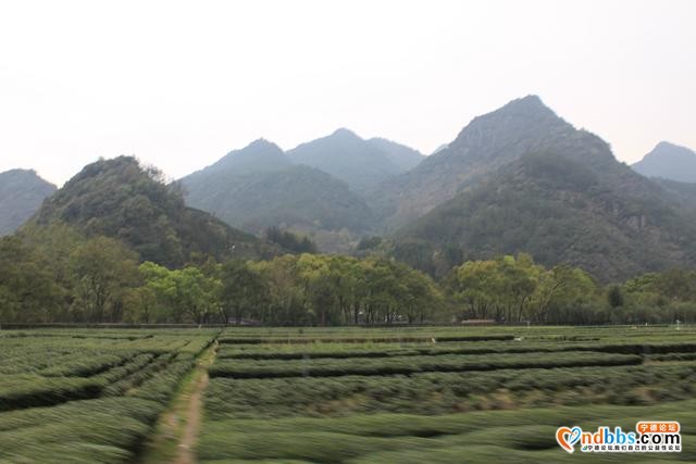 宁德蕉城霍童溪东北面外表村，两溪在这里交汇，溪沿岸青山绿水-4.jpg