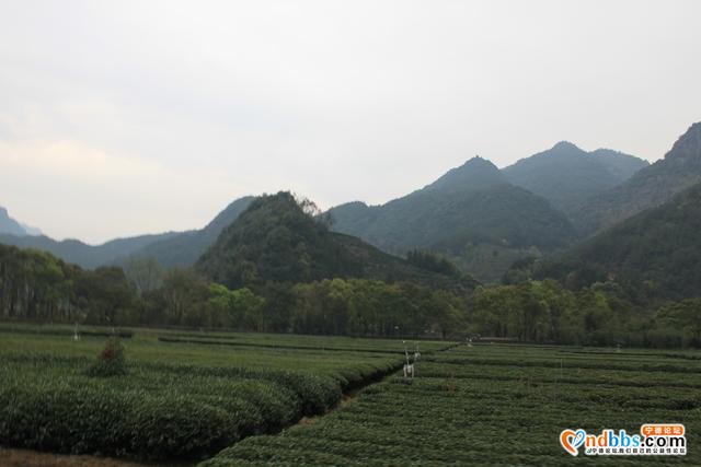 宁德蕉城霍童溪东北面外表村，两溪在这里交汇，溪沿岸青山绿水-2.jpg