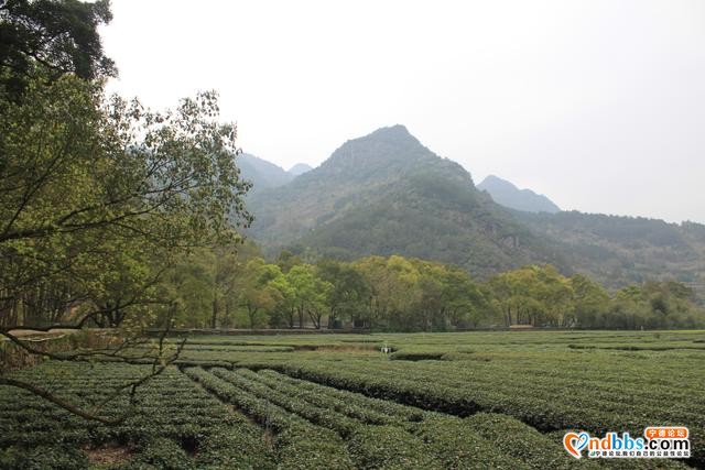 宁德蕉城霍童溪东北面外表村，两溪在这里交汇，溪沿岸青山绿水-5.jpg