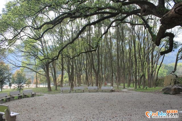 宁德蕉城霍童溪东北面外表村，两溪在这里交汇，溪沿岸青山绿水-12.jpg