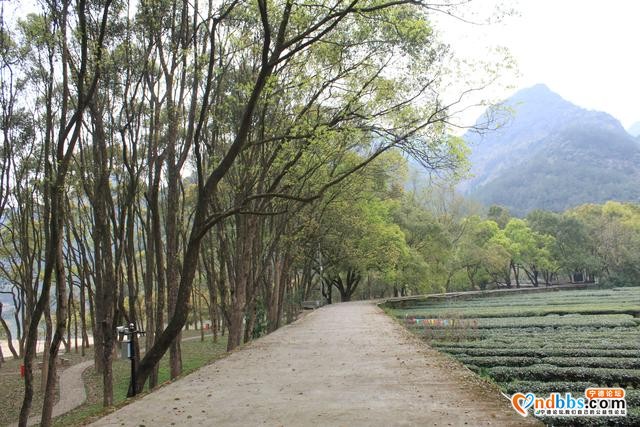 宁德蕉城霍童溪东北面外表村，两溪在这里交汇，溪沿岸青山绿水-10.jpg