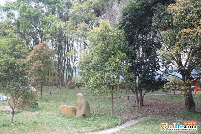 宁德蕉城霍童溪东北面外表村，两溪在这里交汇，溪沿岸青山绿水-11.jpg