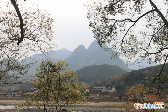 宁德蕉城霍童溪东北面外表村，两溪在这里交汇，溪沿岸青山绿水-16.jpg