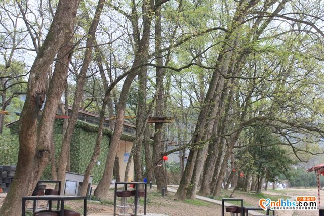 宁德蕉城霍童溪东北面外表村，两溪在这里交汇，溪沿岸青山绿水-14.jpg