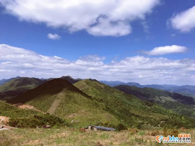 1h抵达！就在蕉城！宁德万亩高山草场任你逍遥~-7.jpg
