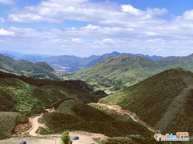 1h抵达！就在蕉城！宁德万亩高山草场任你逍遥~-10.jpg