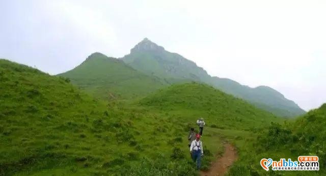 1h抵达！就在蕉城！宁德万亩高山草场任你逍遥~-16.jpg