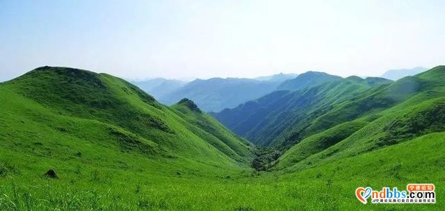 1h抵达！就在蕉城！宁德万亩高山草场任你逍遥~-15.jpg