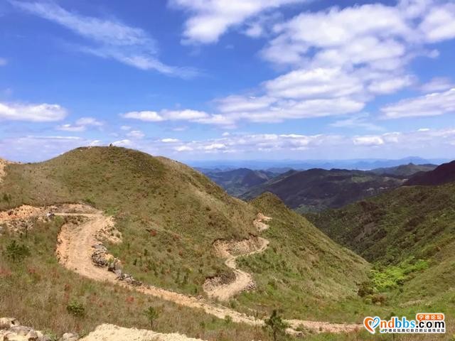 1h抵达！就在蕉城！宁德万亩高山草场任你逍遥~-11.jpg