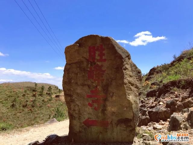 1h抵达！就在蕉城！宁德万亩高山草场任你逍遥~-17.jpg