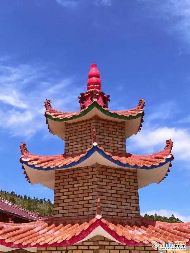 1h抵达！就在蕉城！宁德万亩高山草场任你逍遥~-19.jpg