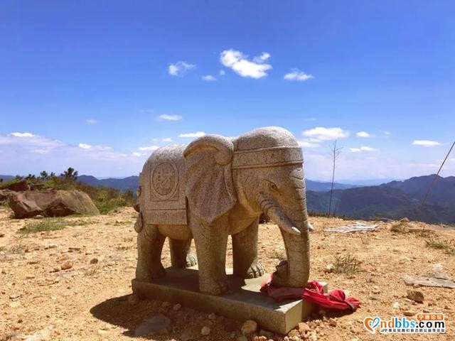 1h抵达！就在蕉城！宁德万亩高山草场任你逍遥~-18.jpg