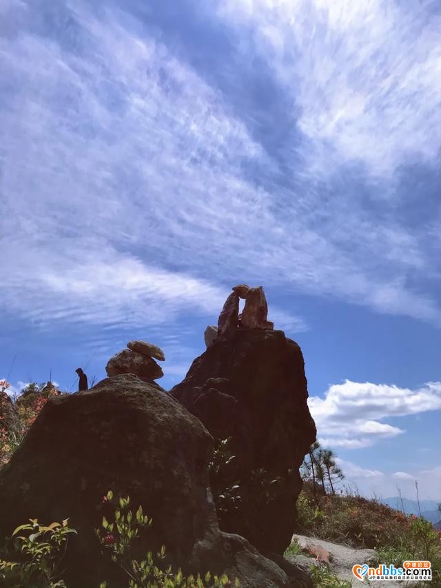 1h抵达！就在蕉城！宁德万亩高山草场任你逍遥~-26.jpg