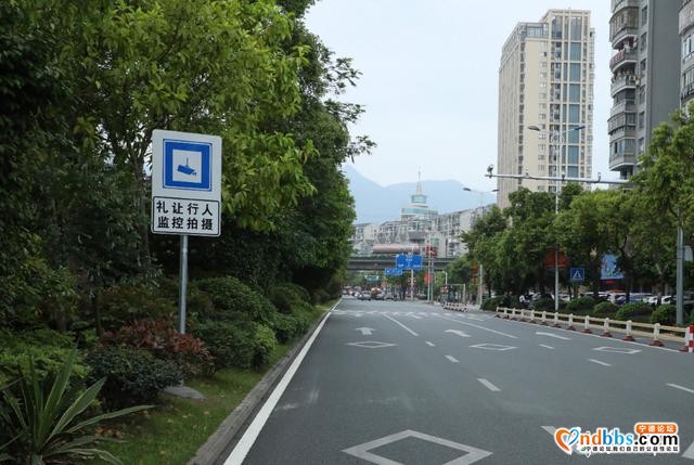 宁德市中心城区斑马线不礼让行人违法抓拍系统正式“上岗”-4.jpg