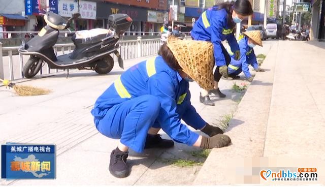 常抓不懈提升城市颜值，他们是当之无愧的“城市美容师”-1.jpg