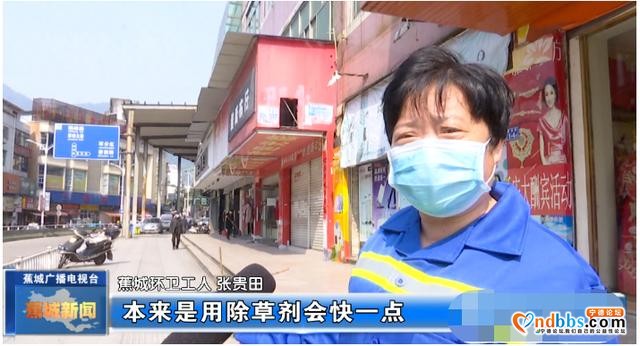 常抓不懈提升城市颜值，他们是当之无愧的“城市美容师”-5.jpg