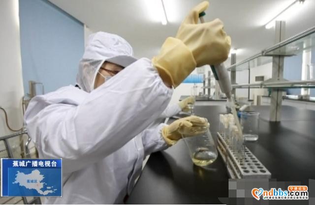 守护舌尖上的安全！蕉城区开展大黄鱼质量安全专项治理行动-4.jpg