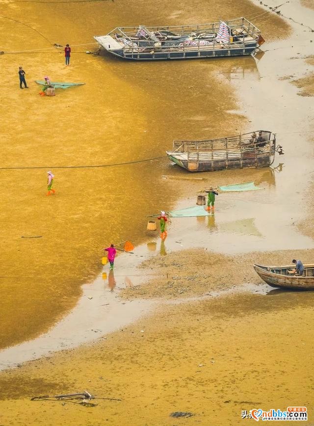 宁德市霞浦县这个福建北方的海滨小城，有着号称世界最美的滩涂-7.jpg