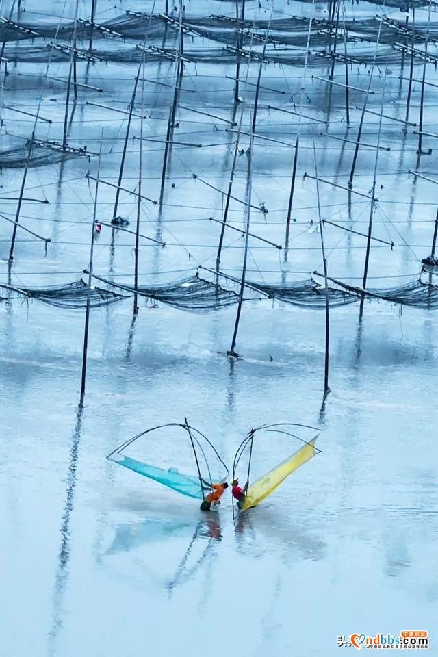 宁德市霞浦县这个福建北方的海滨小城，有着号称世界最美的滩涂-11.jpg