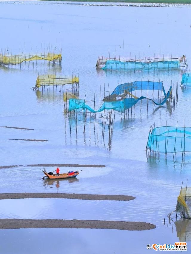 宁德市霞浦县这个福建北方的海滨小城，有着号称世界最美的滩涂-12.jpg