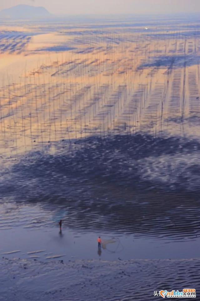 宁德市霞浦县这个福建北方的海滨小城，有着号称世界最美的滩涂-19.jpg