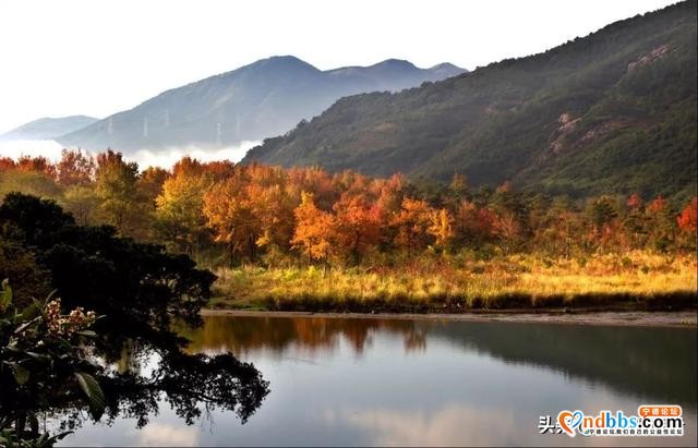 宁德市霞浦县这个福建北方的海滨小城，有着号称世界最美的滩涂-23.jpg