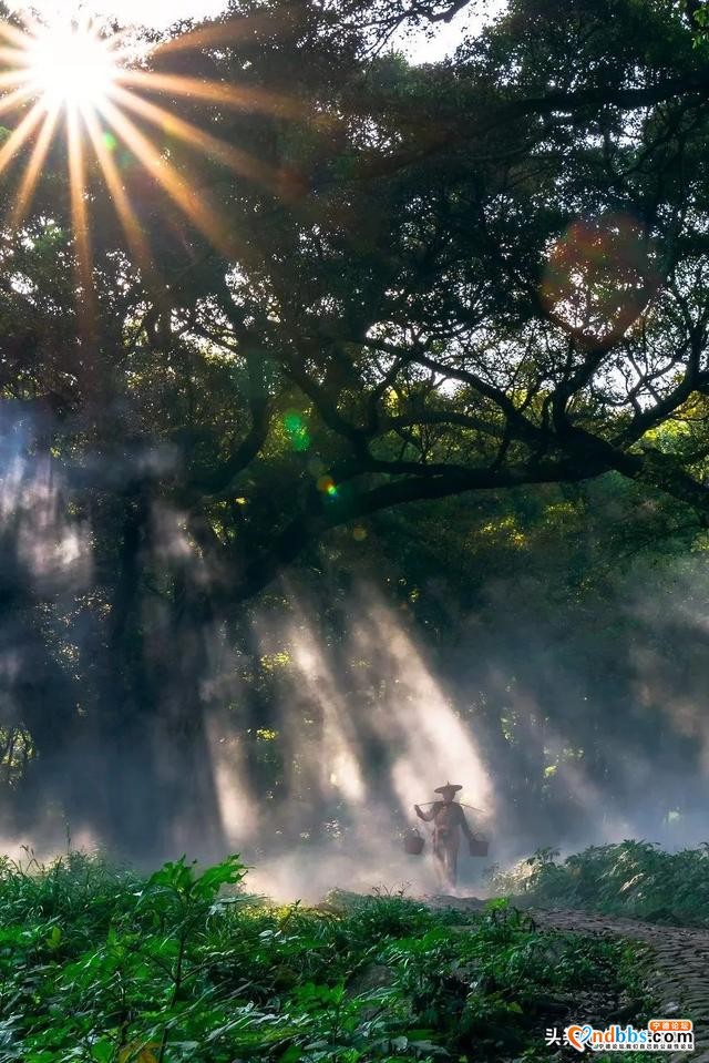 宁德市霞浦县这个福建北方的海滨小城，有着号称世界最美的滩涂-32.jpg