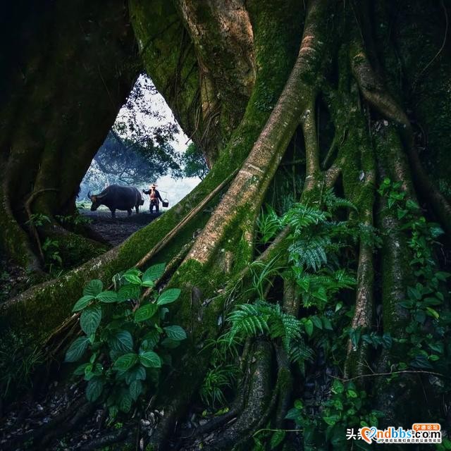宁德市霞浦县这个福建北方的海滨小城，有着号称世界最美的滩涂-31.jpg