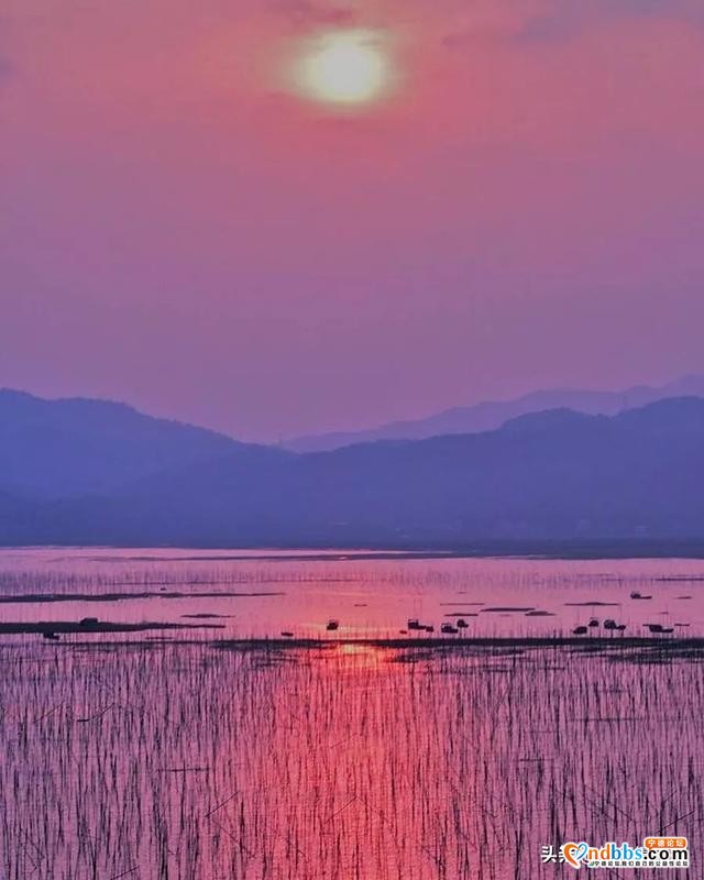 宁德市霞浦县这个福建北方的海滨小城，有着号称世界最美的滩涂-38.jpg
