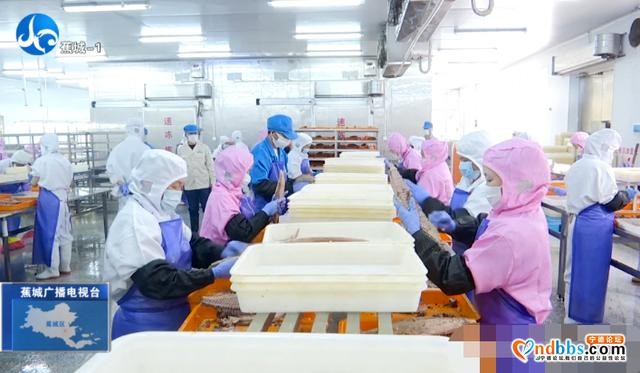 逆势上扬！蕉城一季度GDP增速、规上增速双双领跑全省-5.jpg