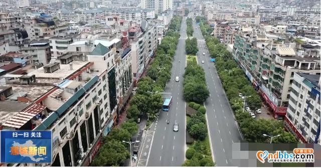 逆势上扬！蕉城一季度GDP增速、规上增速双双领跑全省-13.jpg
