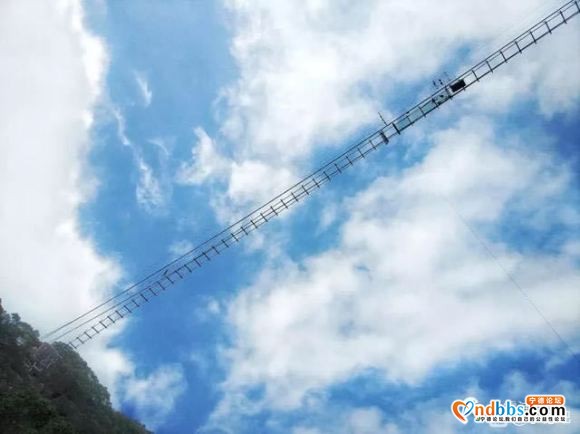 霞浦杨家溪青龙玻璃桥即将开放试接待，拥有两个福建之最……福建-2.jpg