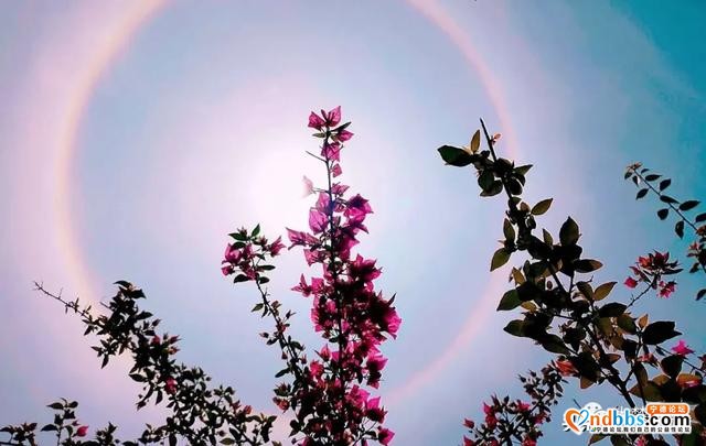 Word天！太阳多了一圈彩色的环，今天你抬头了吗？！-5.jpg