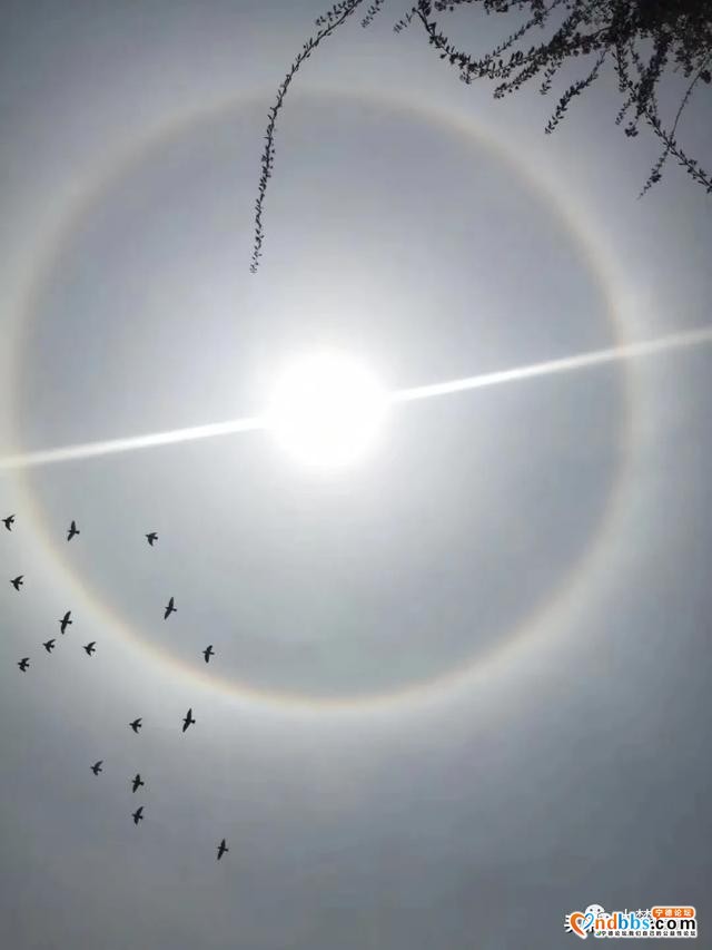 Word天！太阳多了一圈彩色的环，今天你抬头了吗？！-2.jpg