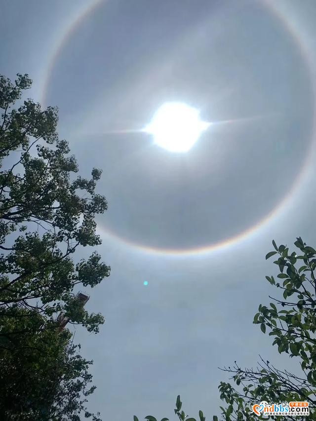 Word天！太阳多了一圈彩色的环，今天你抬头了吗？！-4.jpg
