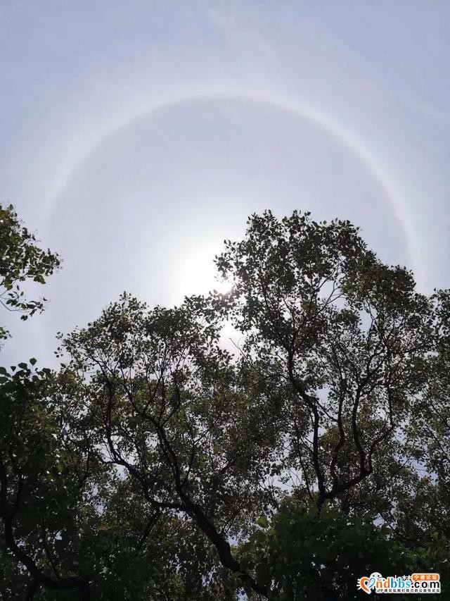 Word天！太阳多了一圈彩色的环，今天你抬头了吗？！-8.jpg