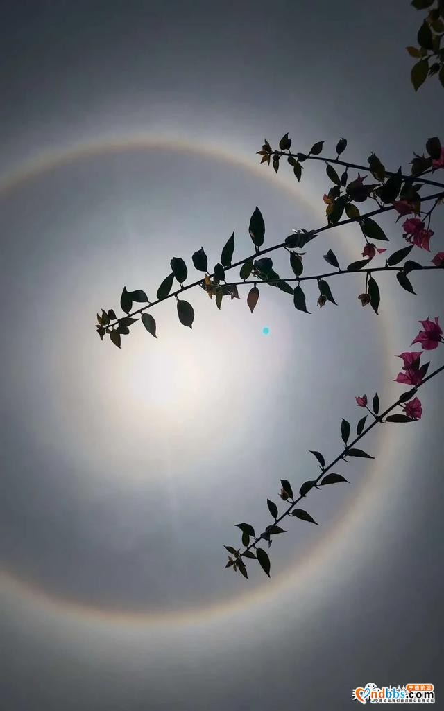 Word天！太阳多了一圈彩色的环，今天你抬头了吗？！-10.jpg