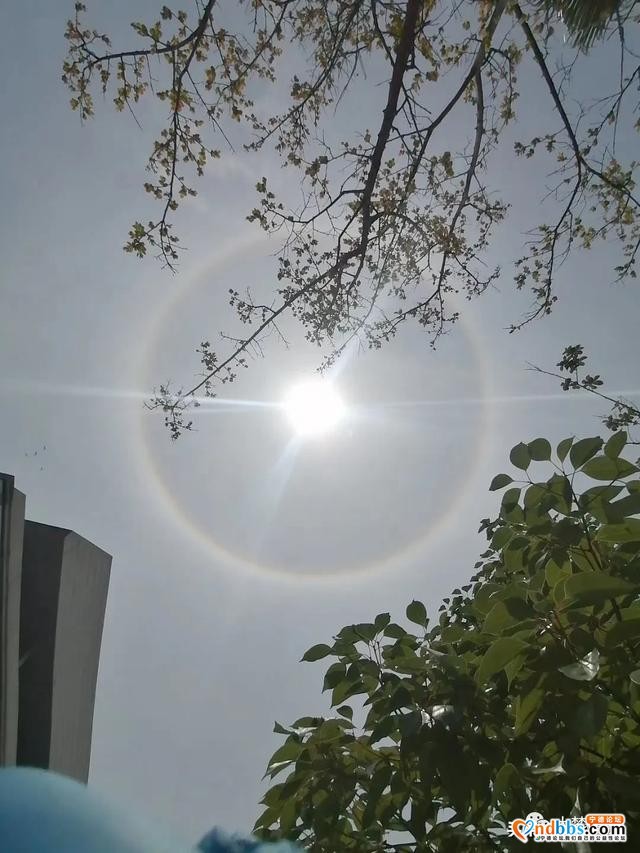 Word天！太阳多了一圈彩色的环，今天你抬头了吗？！-7.jpg