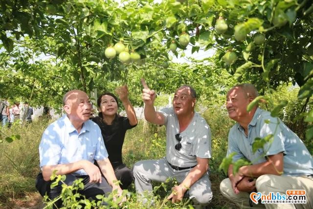 宁德市：在乡村振兴中“老”有作为-4.jpg