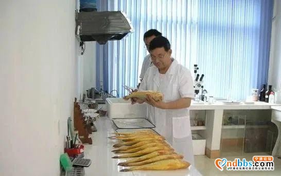 宁德市：在乡村振兴中“老”有作为-6.jpg