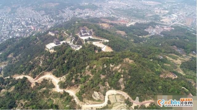镜台山林相改造，颜值提升几度？现场给答分-1.jpg