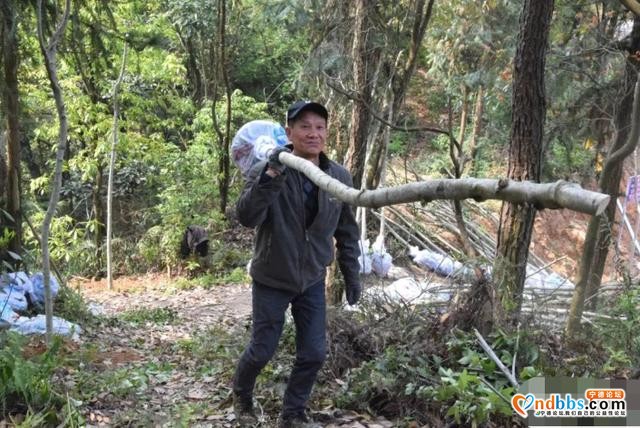 镜台山林相改造，颜值提升几度？现场给答分-9.jpg